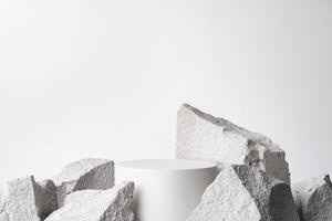 A minimalistic display featuring a smooth white cylinder surrounded by rough gray stone fragments photo