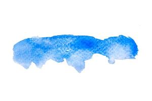 watercolor spot and stokes photo