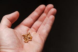 Close up of cereal seeds in male hand on black background photo