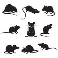 Rat and mouse collection silhouette on white background vector