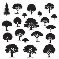 various deciduous trees silhouettes on the white background vector