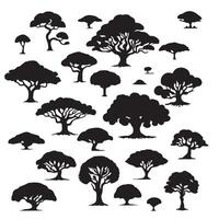 various deciduous trees silhouettes on the white background vector