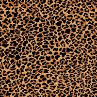 Leopard print pattern and printing or home decorate and more. vector