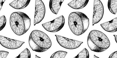 Seamless pattern of Lemon Slices. Hand drawn Sketch illustration of Lemon pulp. Black ink outline of citrus fruit. Background for menu, package, cosmetic, textile vector