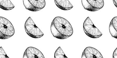 Adobe Illustrator ArtworkSeamless pattern of Lemon Slices. Hand drawn Sketch illustration of Lemon pulp. Black ink outline of citrus fruit. Background for menu, package, cosmetic, textile vector