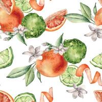 Jasmine flowers with citrus fruits grapefruit and bergamot watercolor seamless pattern isolated. Hand drawn summer plants orange and green colors in botanical sketch style for wrapping paper, textile. vector