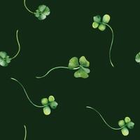 Shamrock and clover watercolor seamless pattern isolated on dark background. Painted green four leaves. Hand drawn Celtic symbol. Design for St. Patrick day decoration, textile, wrapping, paper vector