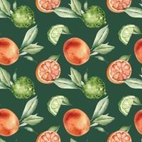 Grapefruit and bergamot citrus fruits with leaves watercolor seamless pattern isolated. Hand drawn summer plants with bright orange green peel in botanical sketch style for textile, package products. vector