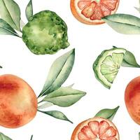 Grapefruit and bergamot citrus fruits with leaves watercolor seamless pattern isolated. Hand drawn summer plants with bright orange green peel in botanical sketch style for textile, package products. vector