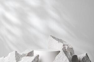 A minimalistic display featuring a smooth white cylinder surrounded by rough gray stone fragments photo