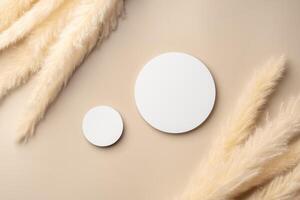 Beautiful Arrangement of Dried Grass and Circular Object on Soft Beige Background photo