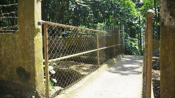 The old bridge in the park with a metal fence at sunny day photo