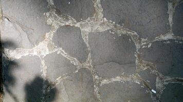 Shadow of the tree on the stone floor. Abstract background for design. photo