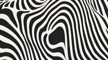 Abstract Black and white Geometric Waves Pattern Animation with Optical Illusion, Water Ripple and Swirl Texture Background video