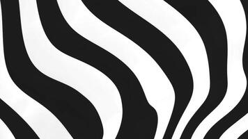 Abstract Black and white Geometric Waves Pattern Animation with Optical Illusion, Water Ripple and Swirl Texture Background video