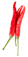 Top view of fresh red chili peppers or cayenne peppers in stack isolated with clipping path in file format png
