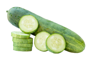 Side view of fresh green cucumber with slices in circle shape in stack isolated with clipping path in file format png