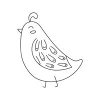 Bird in doodle style. , on a white background vector