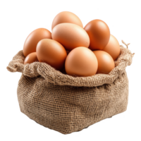 Fresh chicken eggs in burlap sack transparent background png