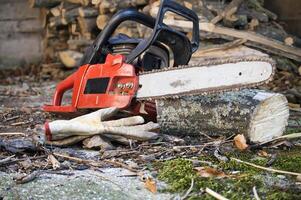 Red chainsaw resting on a log surrounded by work gloves and sawdust photo