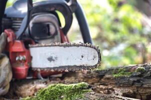 Chainsaw resting on a tree stump in a sunny garden setting photo
