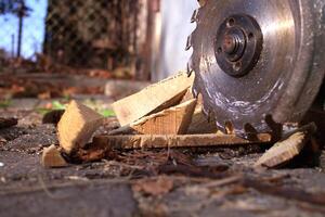 Circular saw blade slices through logs, scattering wood shavings and debris around a rustic workshop photo