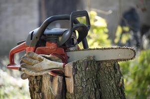 Chainsaw resting on a tree stump with work gloves in a sunny garden setting photo