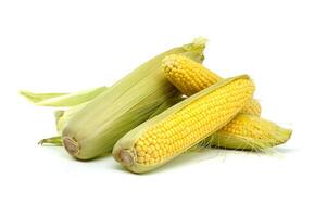 Fresh corn cobs with husks and kernels isolated on a white background photo