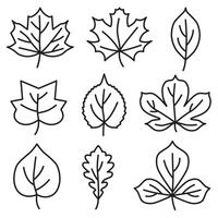 Set of autumn leaves thin dark line. Autumn leaves. Autumn design element. vector