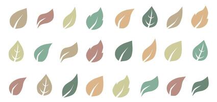 Autumn leaves. Set of colorful autumn leaves. Autumn design element. vector