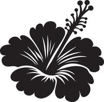 Hibiscus flower silhouette on white background. vector