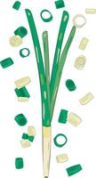 Chopped Green Onion Element Chives Slices Illustration Graphic Element Art Card vector