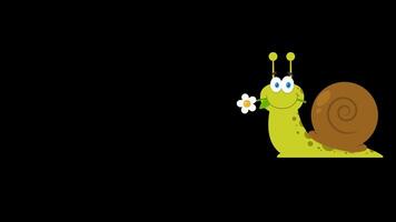 Cute Snail With A Flower In Its Mouth. 4K Animation Motion Graphics Looped Over Black Background video