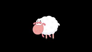 Sheep Cartoon Character Grazing Grass. 4K Animation Motion Graphics Without Background video