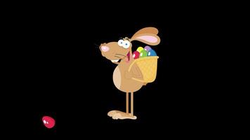 Happy Brown Easter Rabbit Running With A Basket And Egg. 4K Animation Motion Graphics Looped Over Black Background video