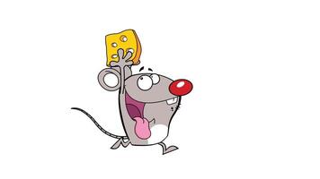Happy Mouse Cartoon Character Running With Cheese. 4K Animation Motion Graphics With White Background video