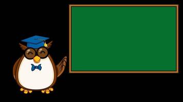 Owl Teacher Cartoon Character In Front Of School Chalk Board. 4K Animation Motion Graphics Without Background video