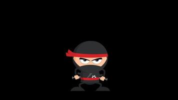 wütend Ninja Krieger Charakter mit zwei Katana. 4k Animation Bewegung Grafik ohne Hintergrund video