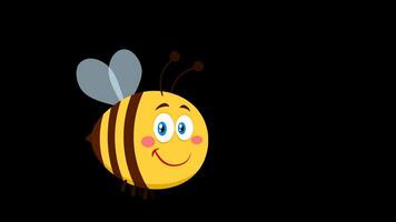 Smiling Cute Bee Cartoon Character Flying. 4K Animation Motion Graphics Without Background video