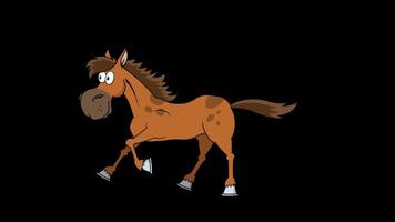 Brown Horse Cartoon Character Running. 4K Animation Motion Graphics Without Background video