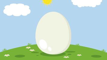 Smiling Yellow Chick Cartoon Character Out Of An Egg Shell video