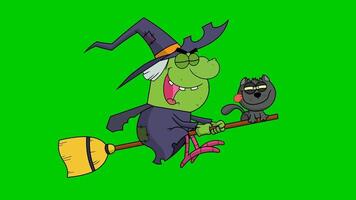 Halloween Witch And Cat Flying On A Broom Stick. 4K Animation Motion Graphics On Green Screen Background video