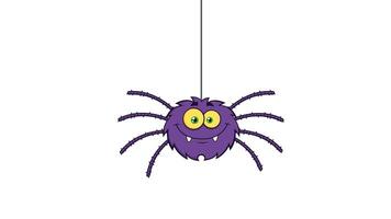 Funny Spider Cartoon Character. 4K Animation Motion Graphics Without Background video