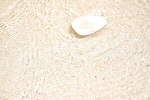 Seashells on the beach. Selective focus. photo