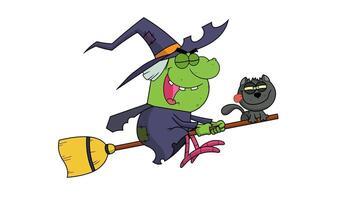 Halloween Witch And Cat Flying On A Broom Stick. 4K Animation Motion Graphics With White Background video