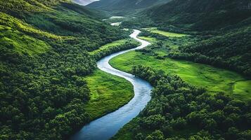 A Winding River Flowing Through a Verdant Valley Landscape photo