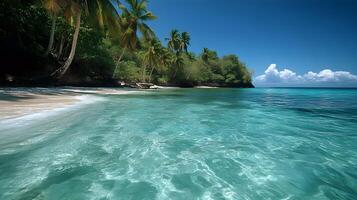 Tranquil Tropical Beach Oasis with Swaying Palm Trees and Crystal Clear Waters photo