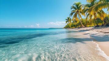 Mesmerizing Tropical Beach with Swaying Palm Trees and Turquoise Waters photo