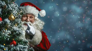 Santa looks out from behind the tree on blue background. photo