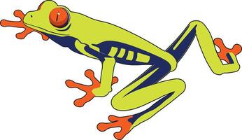 A colorful frog vector